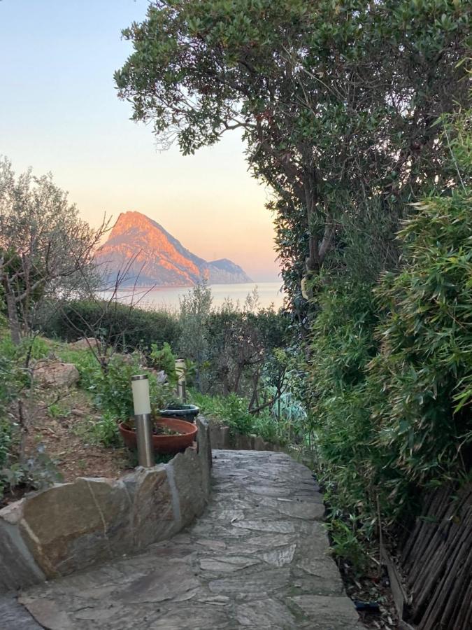 Vila Molarotto Porto Taverna Exteriér fotografie